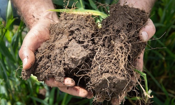 A handful of soil monitor farm
